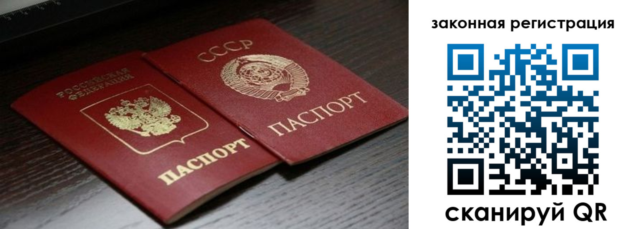 прописка поиск в Отрадном